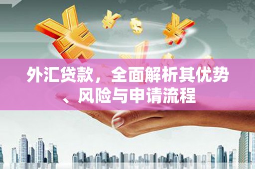 内丘外汇贷款，全面解析其优势、风险与申请流程