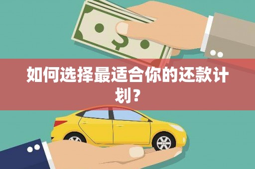 内丘如何选择最适合你的还款计划？