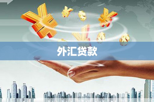 内丘外汇贷款