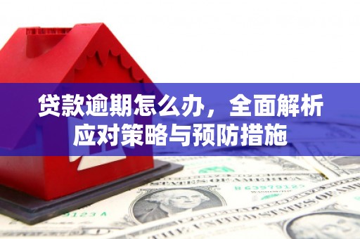 内丘贷款逾期怎么办，全面解析应对策略与预防措施