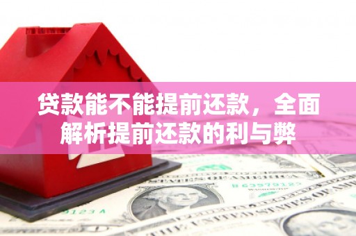内丘贷款能不能提前还款，全面解析提前还款的利与弊