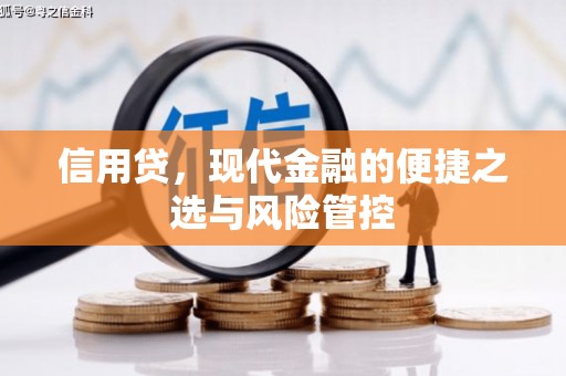 内丘信用贷，现代金融的便捷之选与风险管控