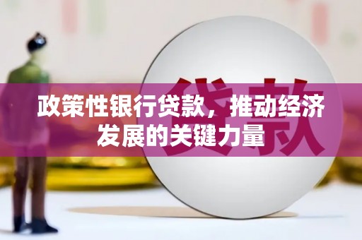 内丘政策性银行贷款，推动经济发展的关键力量