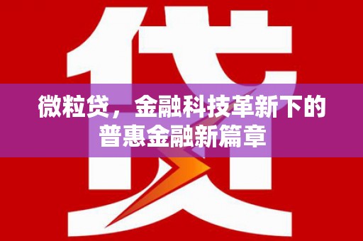 内丘微粒贷，金融科技革新下的普惠金融新篇章