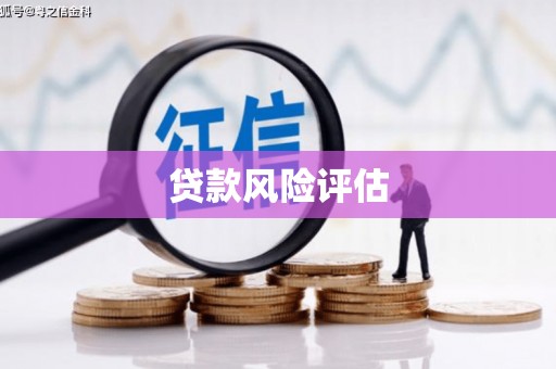 内丘贷款风险评估