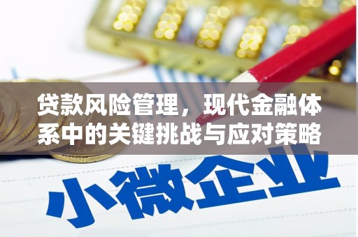 内丘贷款风险管理，现代金融体系中的关键挑战与应对策略